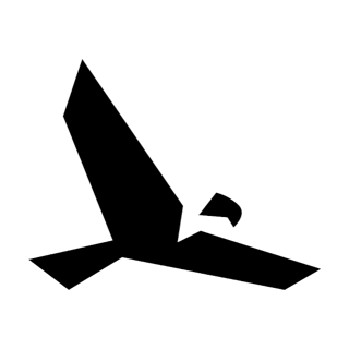 Soar Capital logo